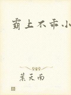 霸上不乖小逃妻