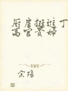 厨房挺进丁字裤高官贵妇