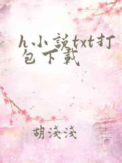 h小说txt打包下载