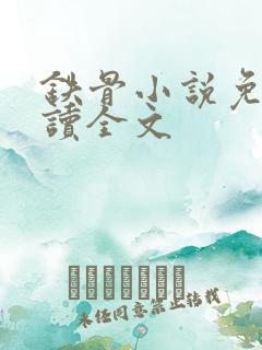 铁骨小说免费阅读全文
