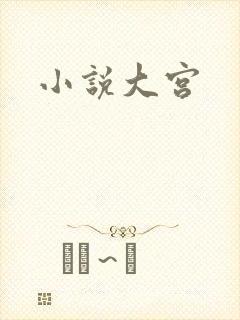 小说大宫
