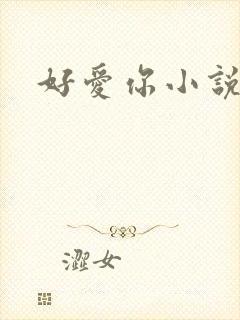 好爱你小说