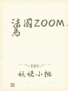 法国ZOOM人马