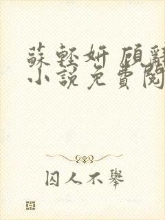 苏轻妍 顾辞笙小说免费阅读