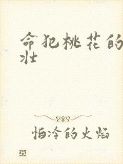 命犯桃花的李大壮