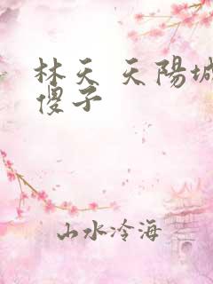 林天 天阳城 傻子