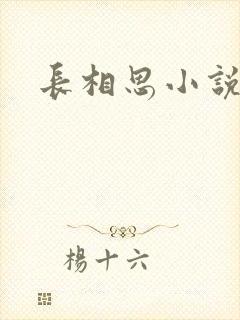 长相思小说原著