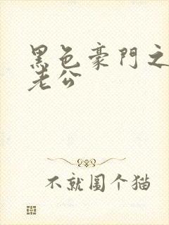 黑色豪门之王子老公