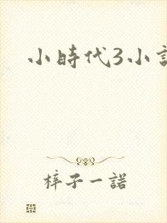 小时代3小说