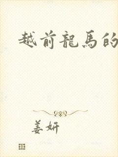 越前龙马的小说