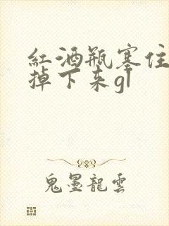 红酒瓶塞住不准掉下来gl