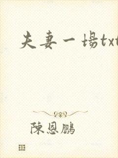 夫妻一场txt