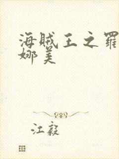 海贼王之罗宾h娜美