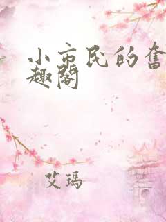 小市民的奋斗笔趣阁