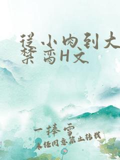 从小肉到大师傅禁脔H文