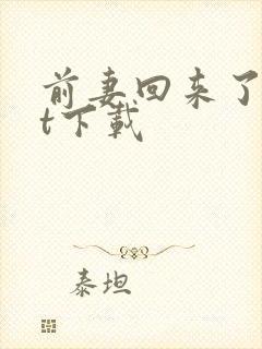 前妻回来了txt下载