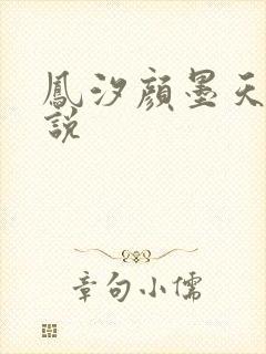 凤汐颜墨天问小说