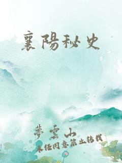 襄阳秘史