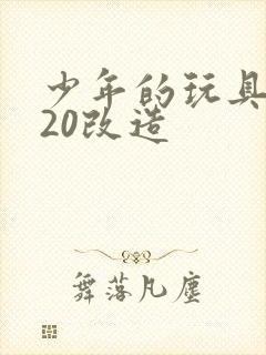 少年的玩具1一20改造