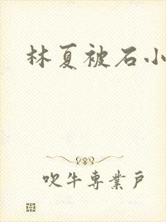 林夏被石小猛