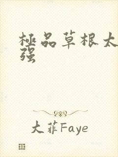 极品草根太子张强