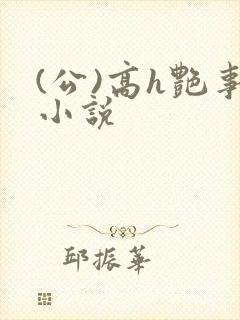 (公)高h艳事小说