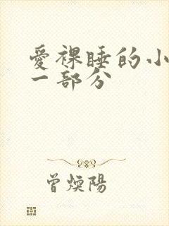 爱裸睡的小丹第一部分