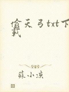 偷天弓txt下载