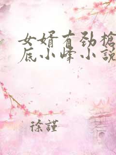 女婿有劲枪枪到底小峰小说