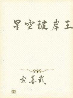 星空彼岸王轩