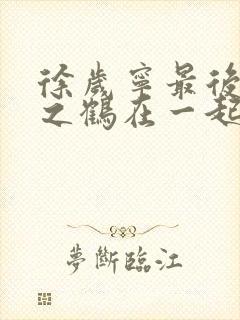 徐岁宁最后和洛之鹤在一起了吗