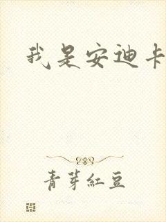 我是安迪卡罗尔