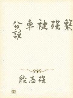 公车被强系列小说