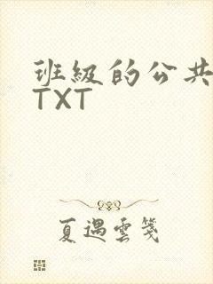 班级的公共玩具TXT