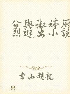 公与淑婷厨房猛烈进出小说