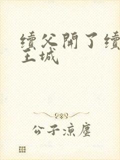 续父开了续女包王城