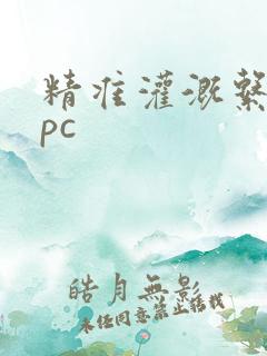 精准灌溉系统npc