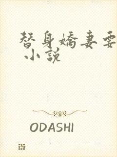 替身娇妻要离婚 小说