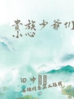 贵族少爷们 请小心