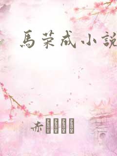 马荣成小说