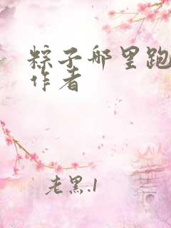 粽子哪里跑小说作者