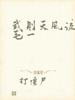 武则天风流艳情毛一