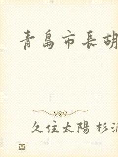 青岛市长胡学峰