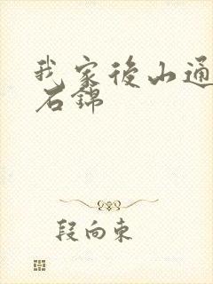 我家后山通仙界石锦