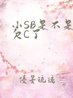 小SB是不是又欠C了