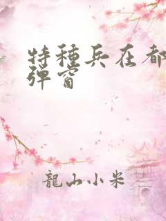 特种兵在都市无弹窗