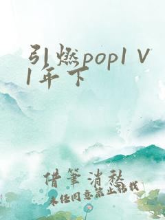 引燃pop1∨1年下