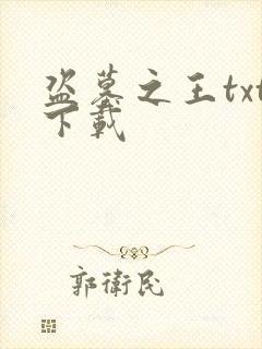 盗墓之王txt下载