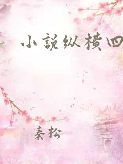 小说纵横四海