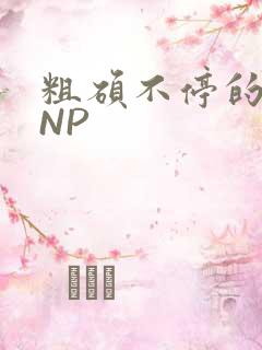 粗硕不停的进出NP